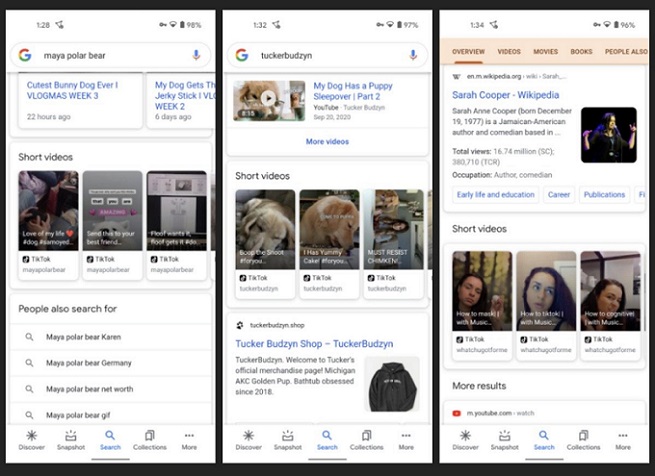 TikTok and Instagram Videos Will Appear on Google Search